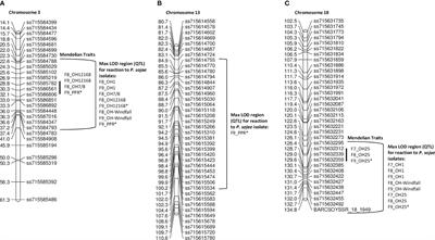 Comparison of Rps loci toward isolates, singly and combined inocula, of Phytophthora sojae in soybean PI 407985, PI 408029, PI 408097, and PI424477